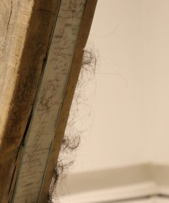 Whatever is Hang by a Hair 3